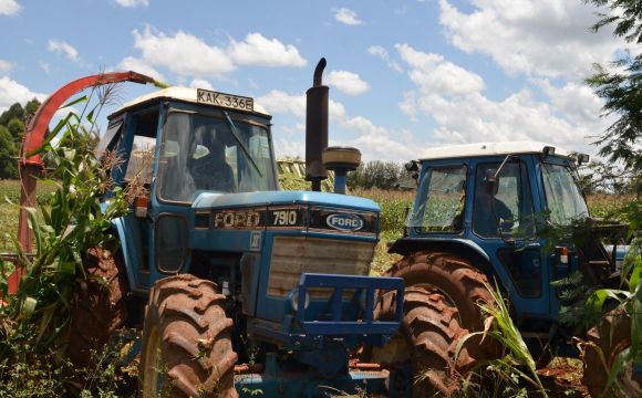 kenya-farm-orphans